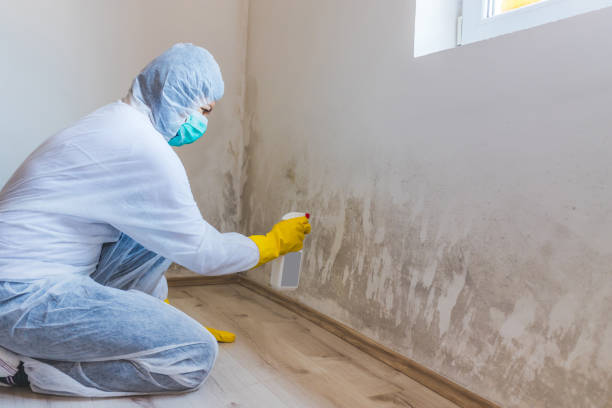 Licensed Crawl Space Mold Removal service in The Plains, VA - WQB Mold Removal