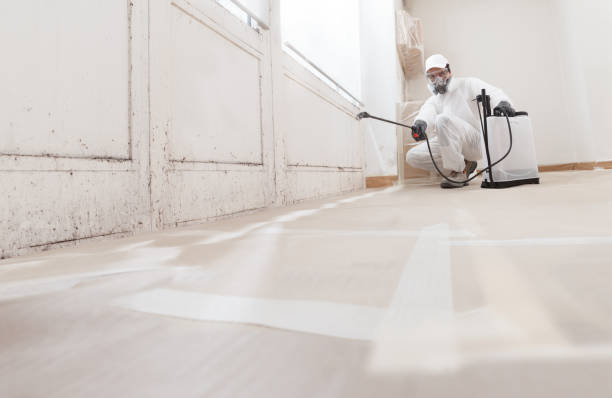 24/7 Emergency Crawl Space Mold Removal experts in The Plains, VA