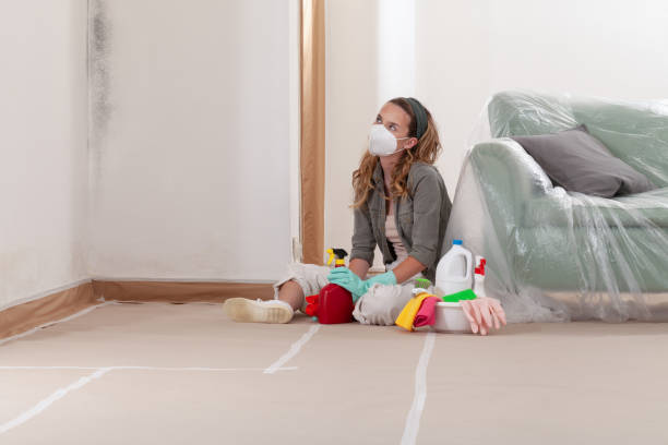 Reliable Crawl Space Mold Removal contractor in The Plains, VA by WQB Mold Removal